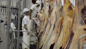 Frigorifico trabajadores mediares 29agosto2023