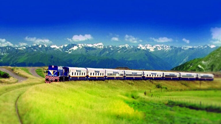 Tren patagonico marca pais