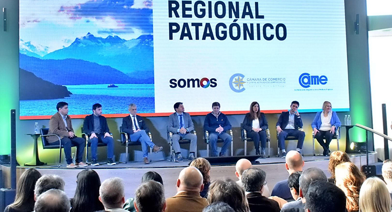 Fernandezmariano reunion gobernadores patagonicos pantalla 14setiembre2023