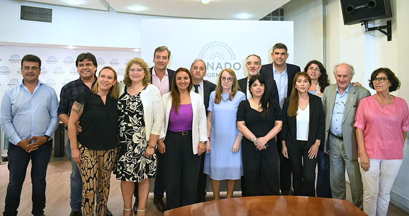 Patagonia legisladores senado bensusandaniel 12enero2024
