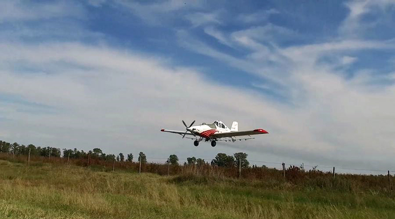 Avion Fumigaciones Campo 11enero2024