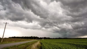 Tormenta Campo Ruta 7enero2024