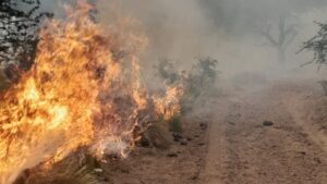 Quemas prescriptas incendio pastizalez 5marzo2024