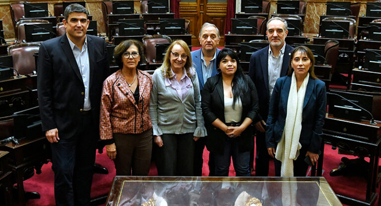 Bensusandaniel senadores patagonicos uxp 9mayo2024