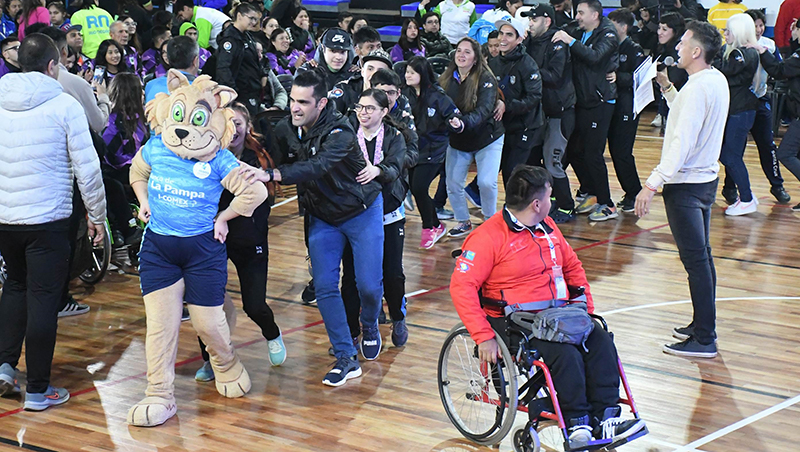 Paraaraucania cierre mascota 9mayo2024