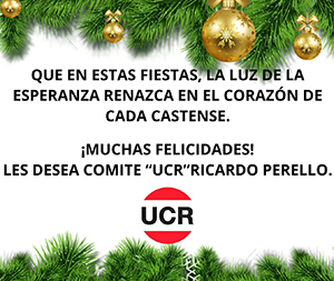 Comiteucr Diciembre2024