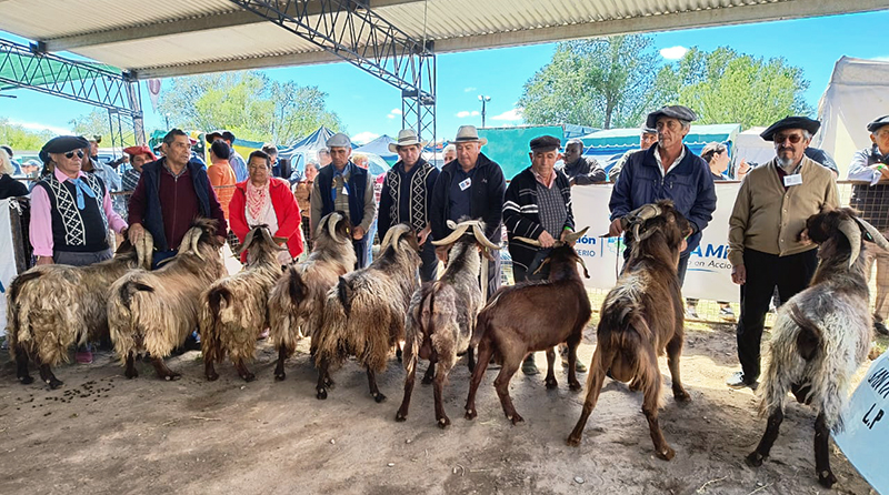 Fiestaprovincial chivito santaisabel productores premiados 8diciembre2024