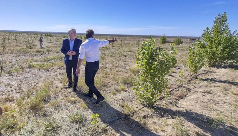 Ziliottosergio Recorrida Casadepiedra Pistachos 27diciembre2024 1