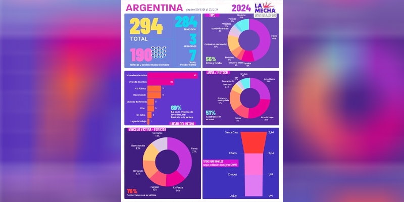 Femicidios Estadisticas 30diciembre2024