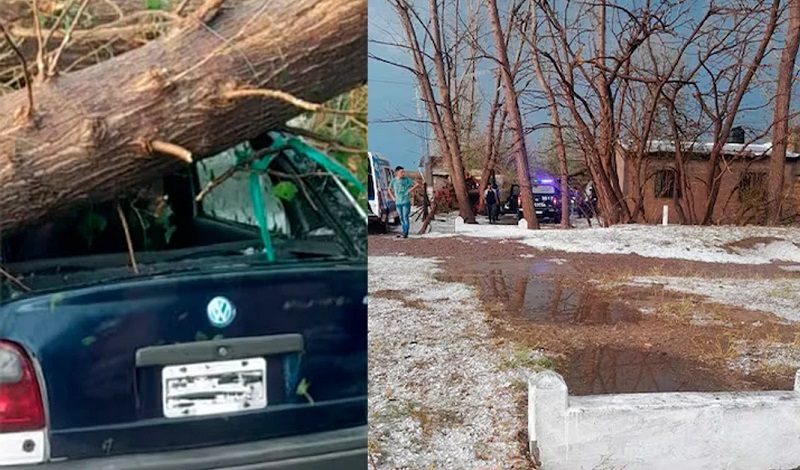 Mendoza Tormenta Fallecimiento 24enero2025