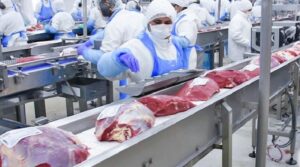 Frigorifico Carne Envasealvacio 8enero2025