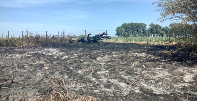 Incendio Campo Lote22 Alambrado 14enero2025 1