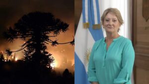 Vidalanamaria Subsecretaria Ambiente Incendios 11febrero2025