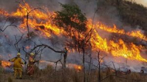 Incendios Brigadistas Patagonia 20febrero2025