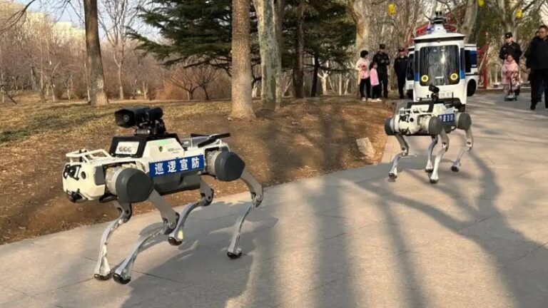 China robot perro seguridad parque 15marzo2025