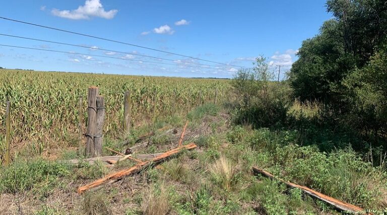 Cospecltda trabajos tormentas marzo2025 1