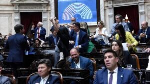 Diputados lla festejo dnu fmi 19marzo2025