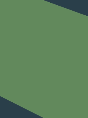 Fi 2026 banner 300x400 v1