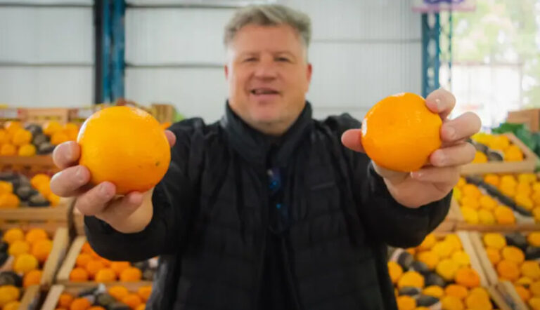 Mercadoconcentrador naranjas vendedor 29abril2025