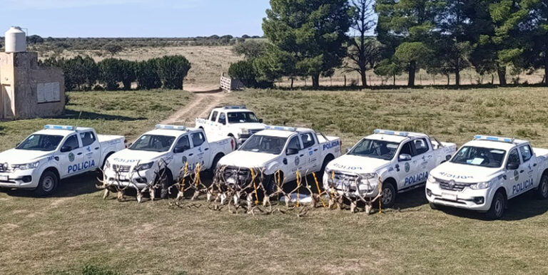 Victoria allanamiento campo abigeato trofeoscaza 30abril2025