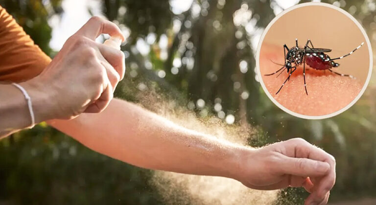 Dengue mosquito repelente 7abril2025