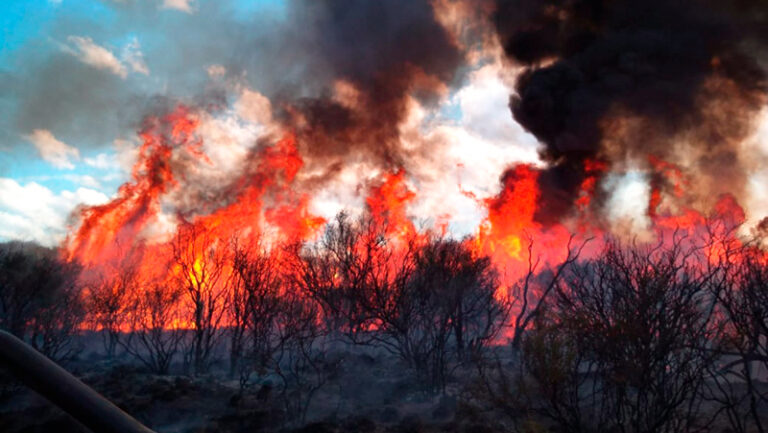 Incendio bosque calden 25abril2025