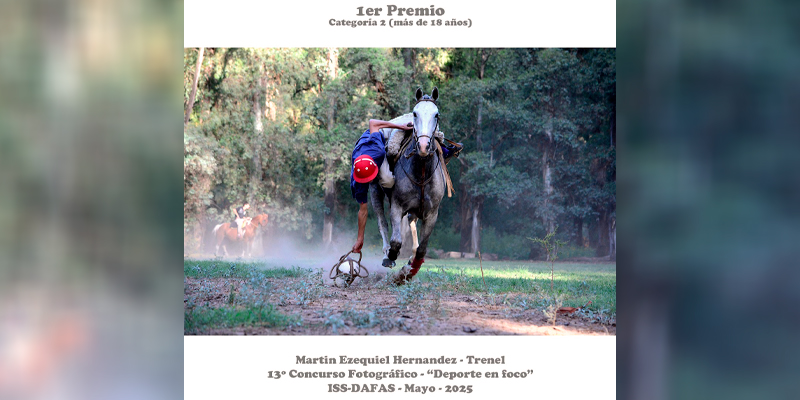 Dafas concursofotografia 1premio mayores 14mayo2025