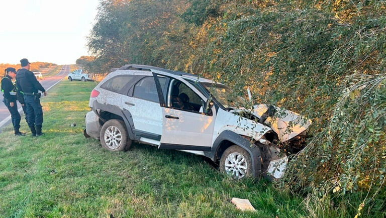 Fiatadventure choque arboles rutanacional35 24mayo2025