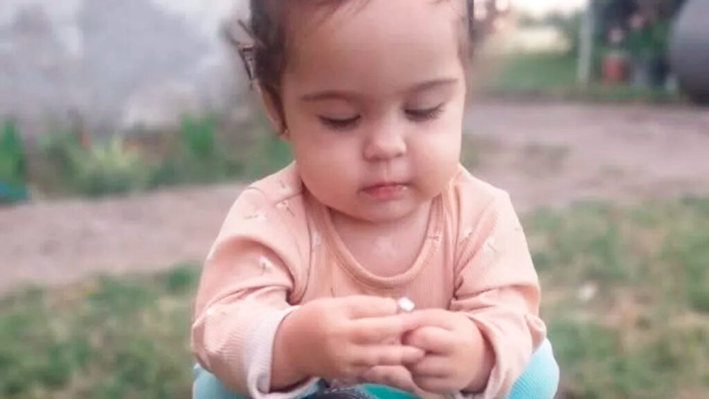 Heckerdelfina ninia fallecimiento temporal bahiablanca 12mayo2025