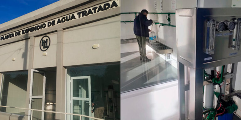 Hilariolagos plantadeaguatratada edit 18mayo2025