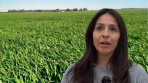 Ovandonatalia pasturas campo 31mayo2025