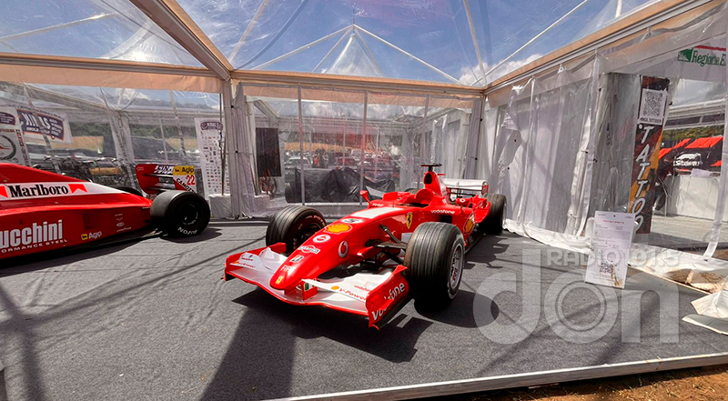 Rosanoelia espacio sennaayrton imola 16mayo2025