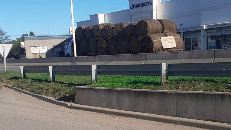 Atropellado camion peaton fallecimiento santarosa 10mayo2025
