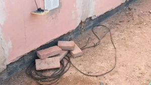 Chubut cable perros electrocutados 6junio2025