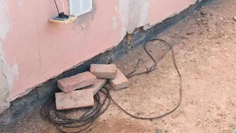 Chubut cable perros electrocutados 6junio2025