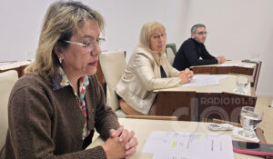 Concejodeliberante romeromaria rodrigueznora arayamartin 28junio2025