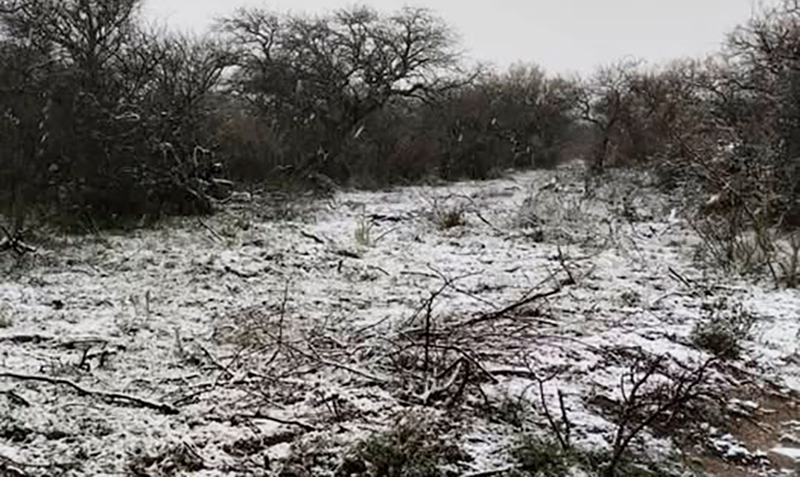 Nieve nevada montepampeano calden cuchilloco 28junio2025