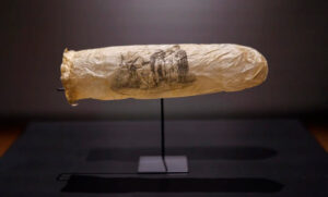Preservativo exposicion museo 5junio2025