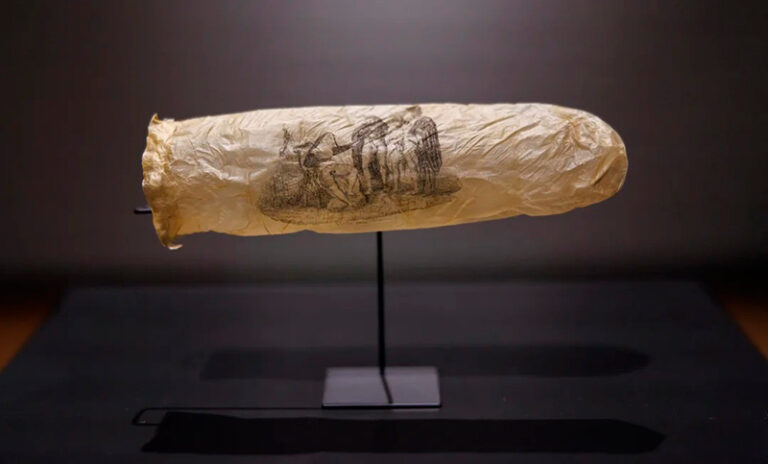 Preservativo exposicion museo 5junio2025