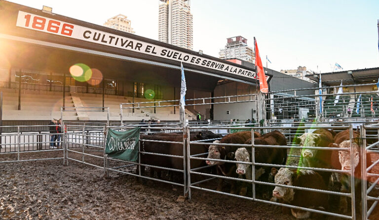 Exposicionpalermo corrales pista 18julio2025