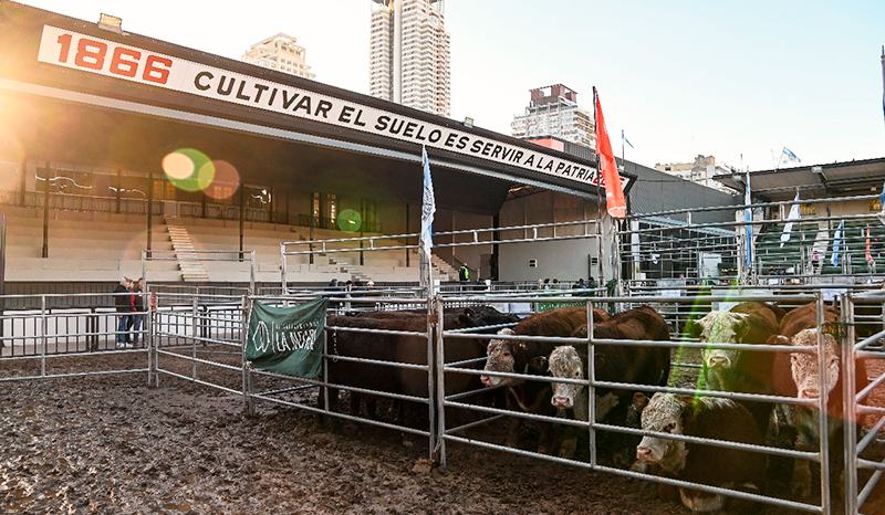Exposicionpalermo corrales pista 18julio2025