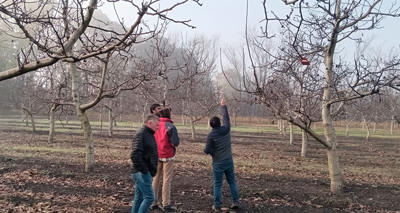 Recursosnaturales frutossecos recorrida viedma 24julio2025