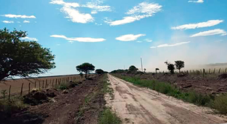 Caminovecinal campo 21julio2025