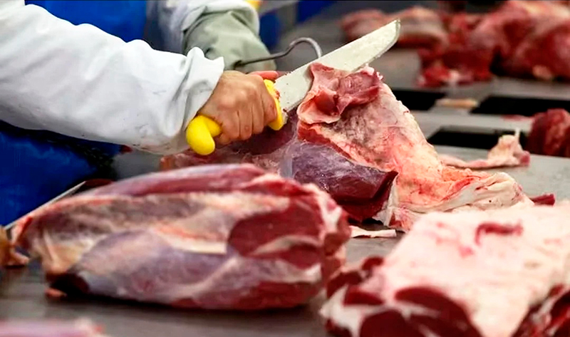 Carne vacuna carnicero carniceria 7julio2025