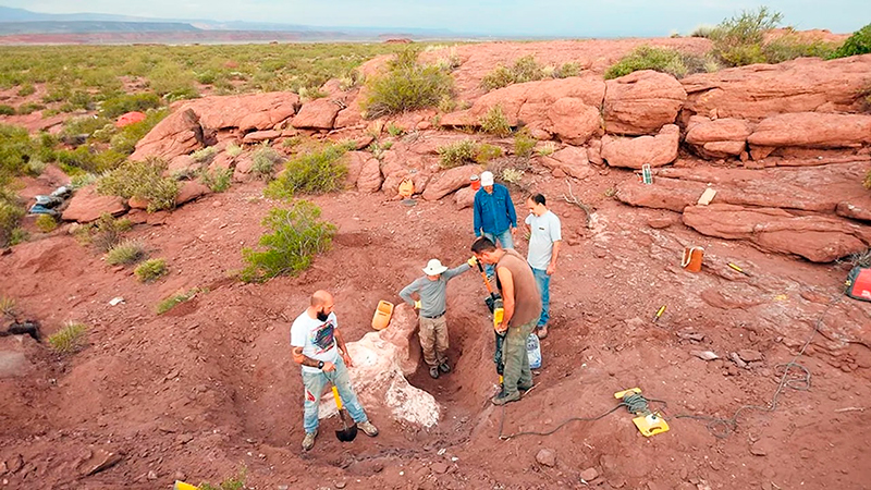Dinosaurio astigmasauragenuflexa anielo 3julio2025