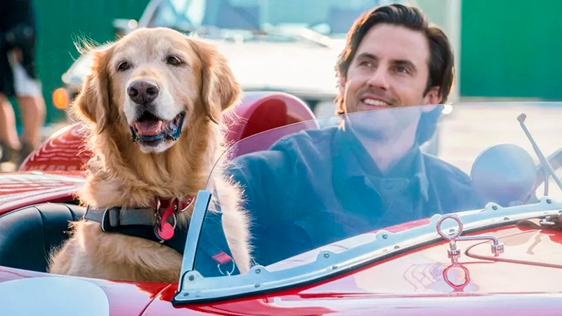 Miamigoenzo pelicula 26agosto2025