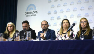 Saludmental malgamartin consejofederal 6agosto2025