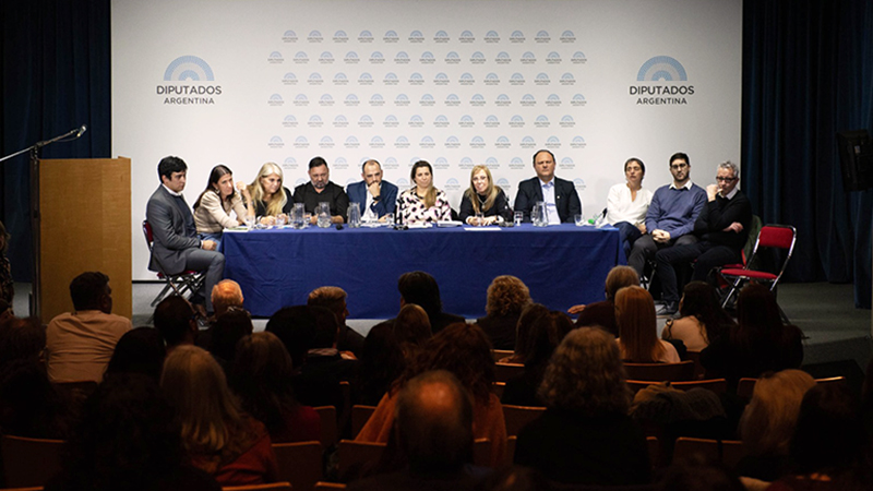 Saludmental malgamartin consejofederal panel 6agosto2025