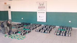 Marihuana hojas secuestro destino santarosa 30agosto2025