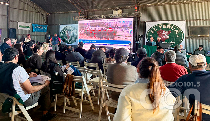 Cabania elyerua remate pantalla 5setiembre2025